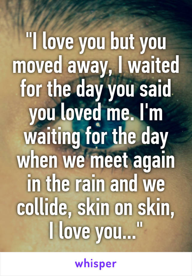 "I love you but you moved away, I waited for the day you said you loved me. I'm waiting for the day when we meet again in the rain and we collide, skin on skin, I love you..."