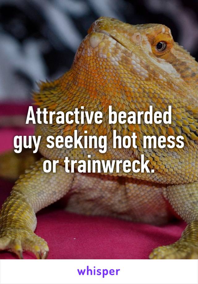 Attractive bearded guy seeking hot mess or trainwreck.