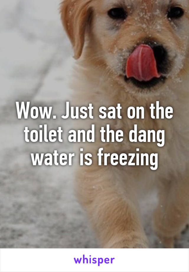 Wow. Just sat on the toilet and the dang water is freezing