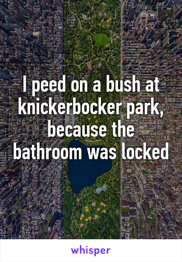 I peed on a bush at knickerbocker park, because the bathroom was locked 