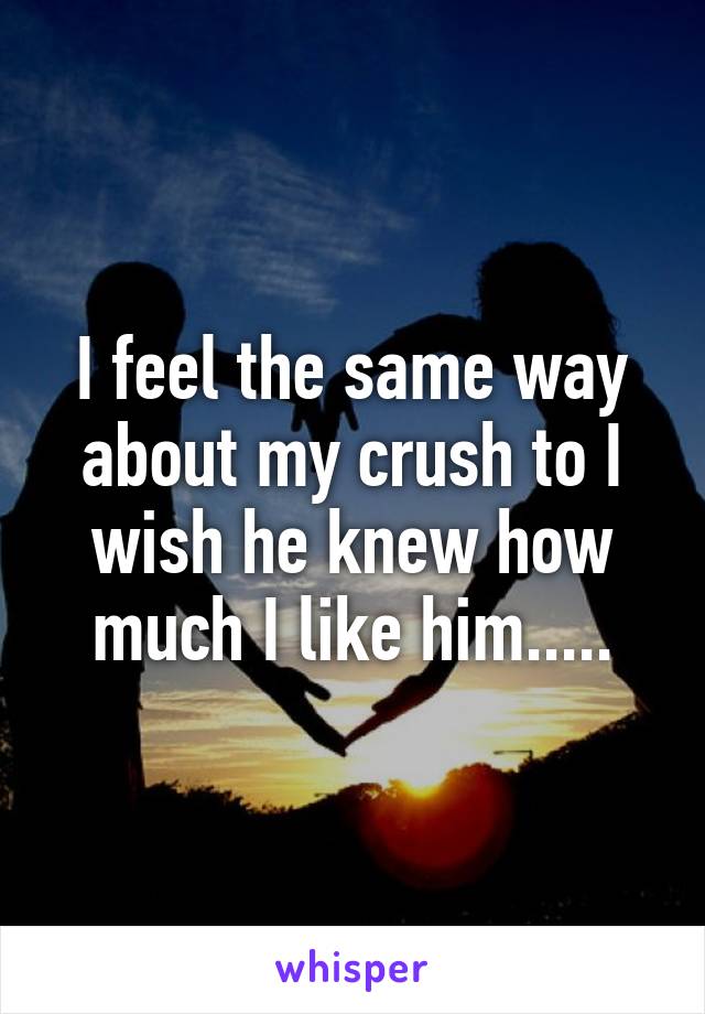 I feel the same way about my crush to I wish he knew how much I like him.....