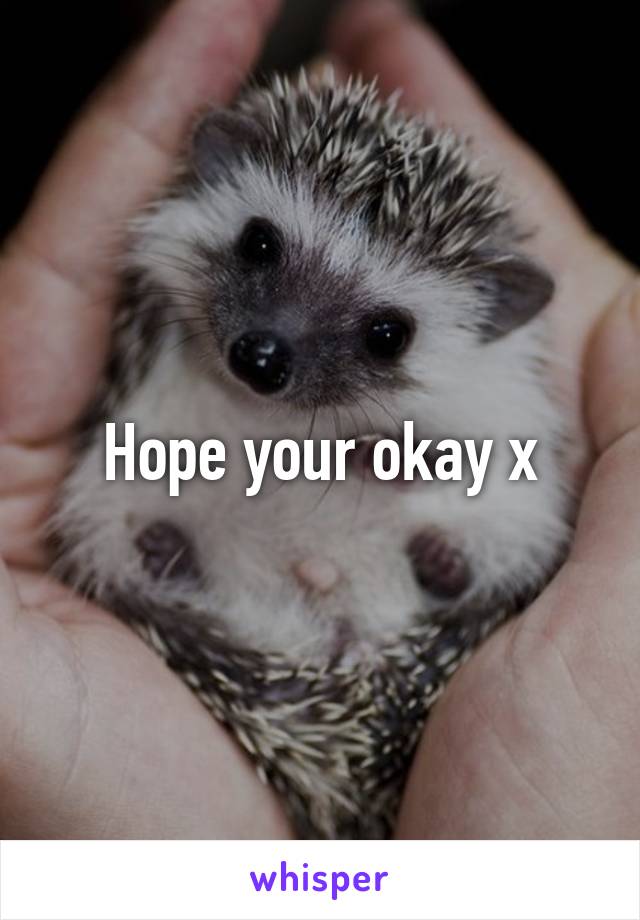 Hope your okay x