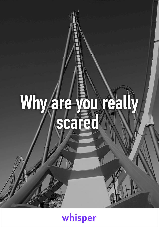 Why are you really scared 