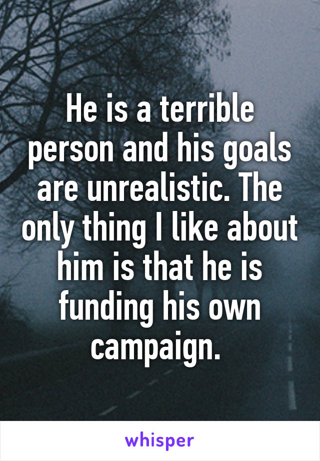 He is a terrible person and his goals are unrealistic. The only thing I like about him is that he is funding his own campaign. 