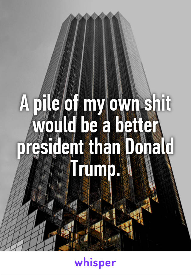 A pile of my own shit would be a better president than Donald Trump.