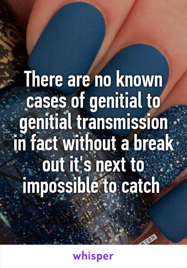 There are no known cases of genitial to genitial transmission in fact without a break out it's next to impossible to catch 