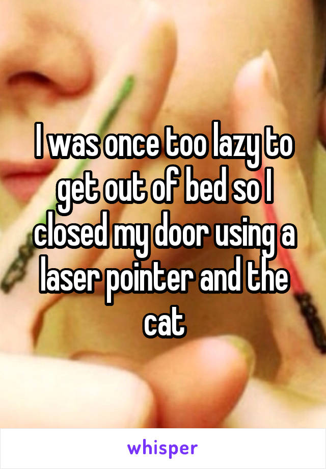 I was once too lazy to get out of bed so I closed my door using a laser pointer and the cat