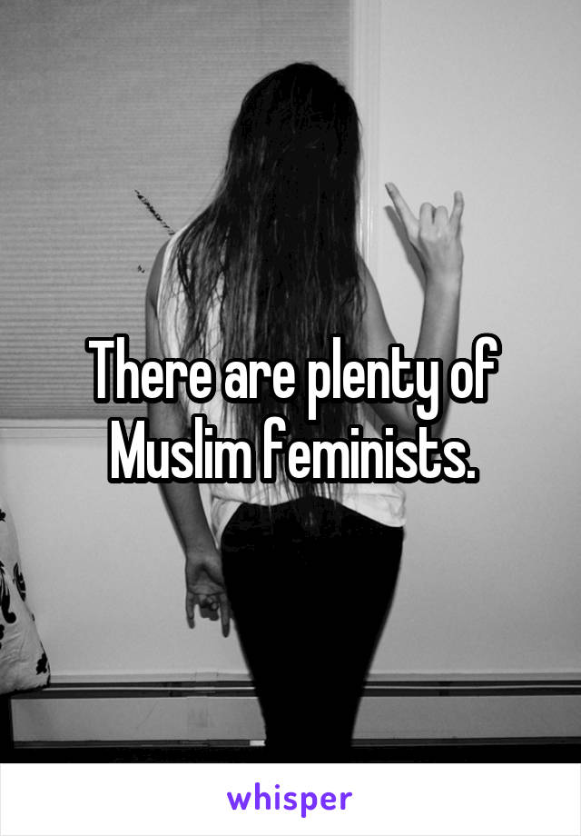 There are plenty of Muslim feminists.