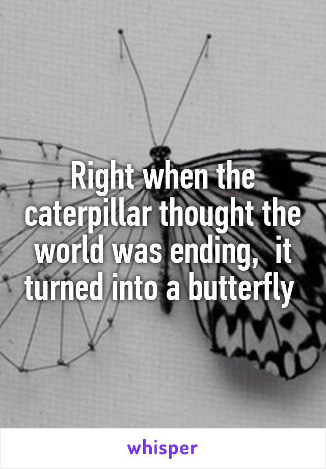 Right when the caterpillar thought the world was ending,  it turned into a butterfly 