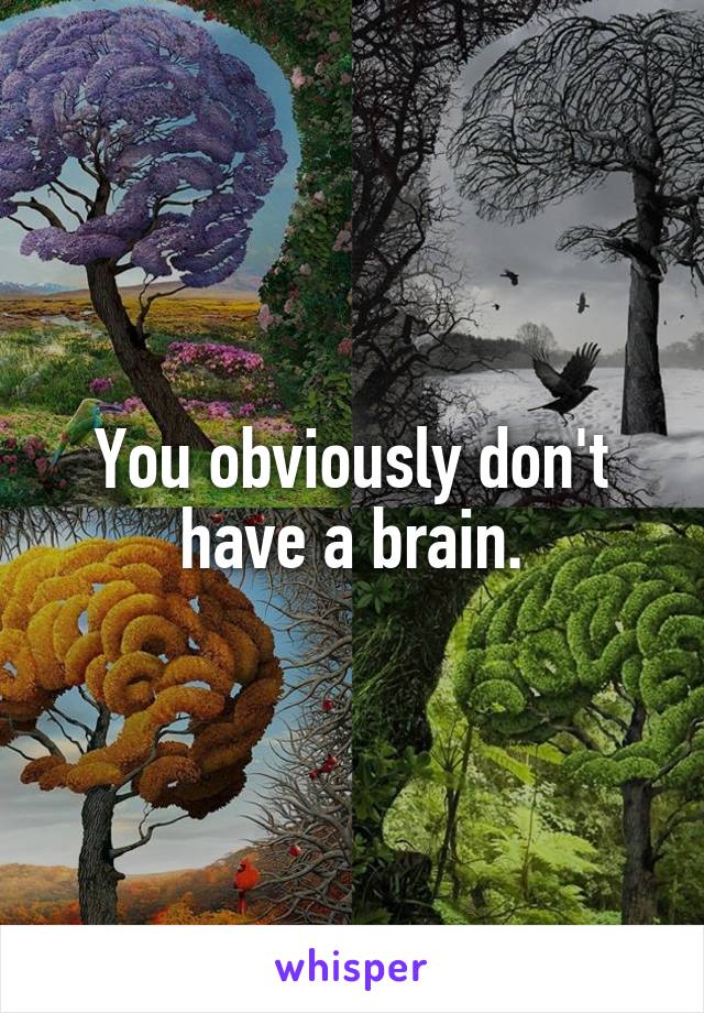 You obviously don't have a brain.