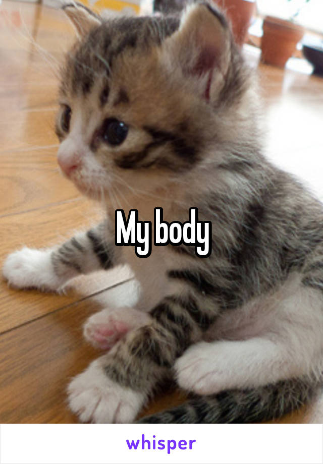 My body