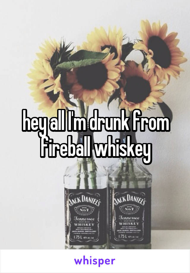 hey all I'm drunk from fireball whiskey
