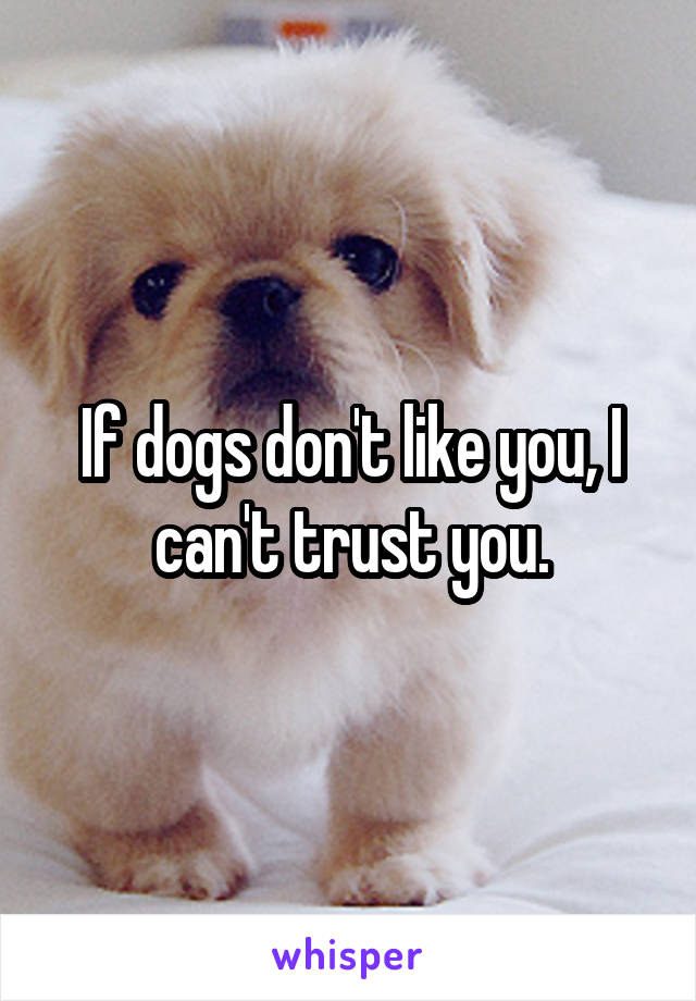 If dogs don't like you, I can't trust you.