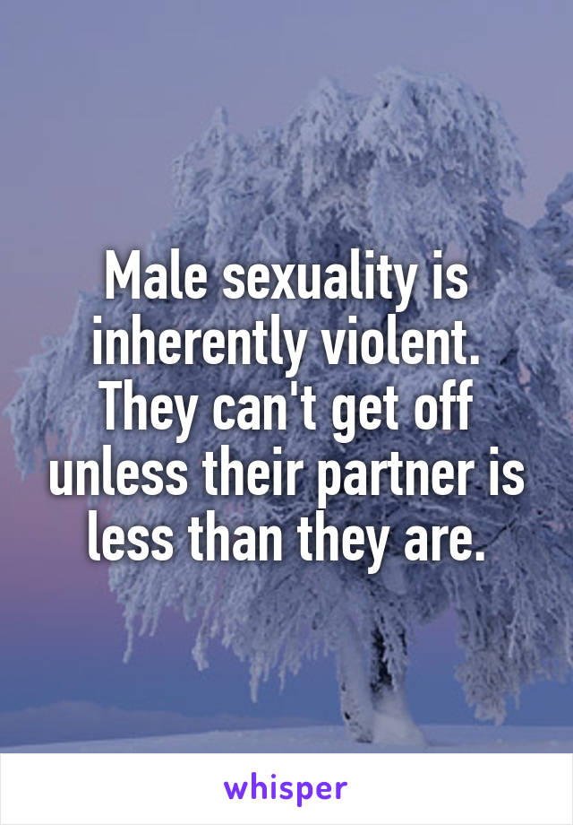Male sexuality is inherently violent. They can't get off unless their partner is less than they are.
