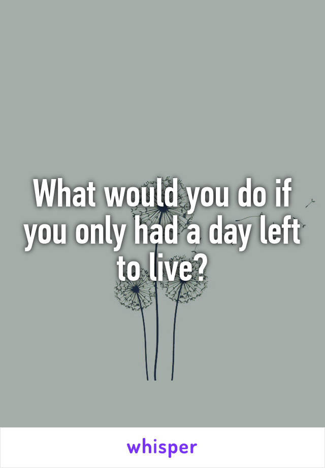 What would you do if you only had a day left to live?