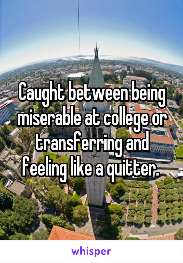 Caught between being miserable at college or transferring and feeling like a quitter. 