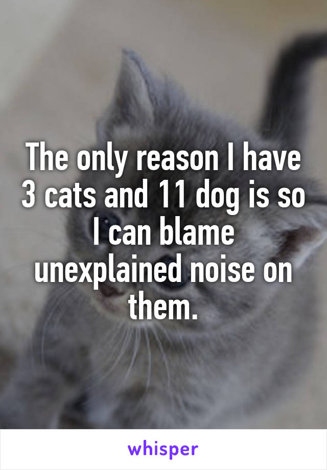 The only reason I have 3 cats and 11 dog is so I can blame unexplained noise on them.