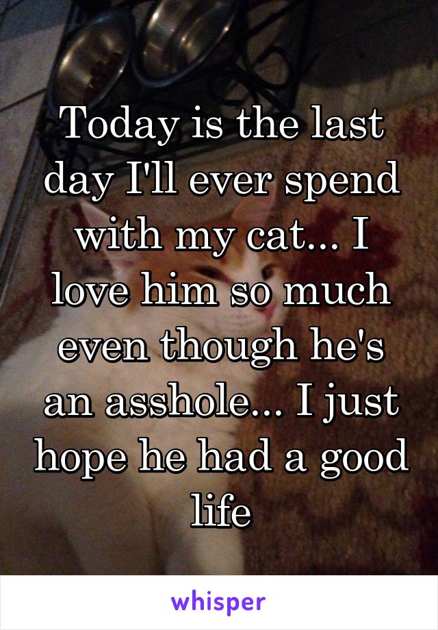 Today is the last day I'll ever spend with my cat... I love him so much even though he's an asshole... I just hope he had a good life