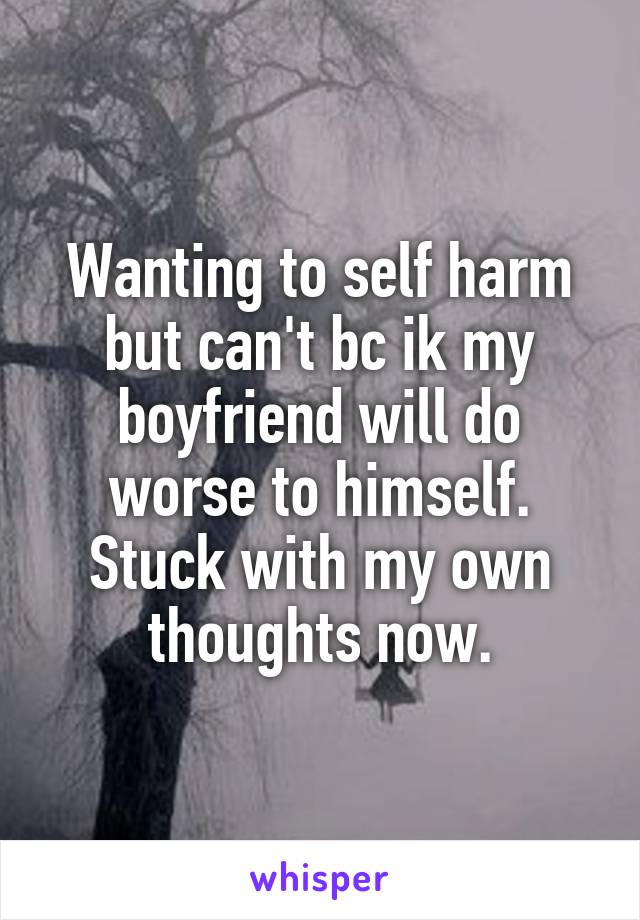 Wanting to self harm but can't bc ik my boyfriend will do worse to himself. Stuck with my own thoughts now.