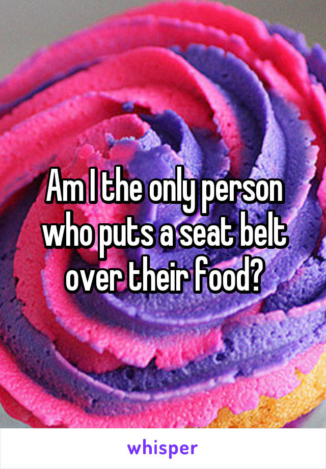 Am I the only person who puts a seat belt over their food?