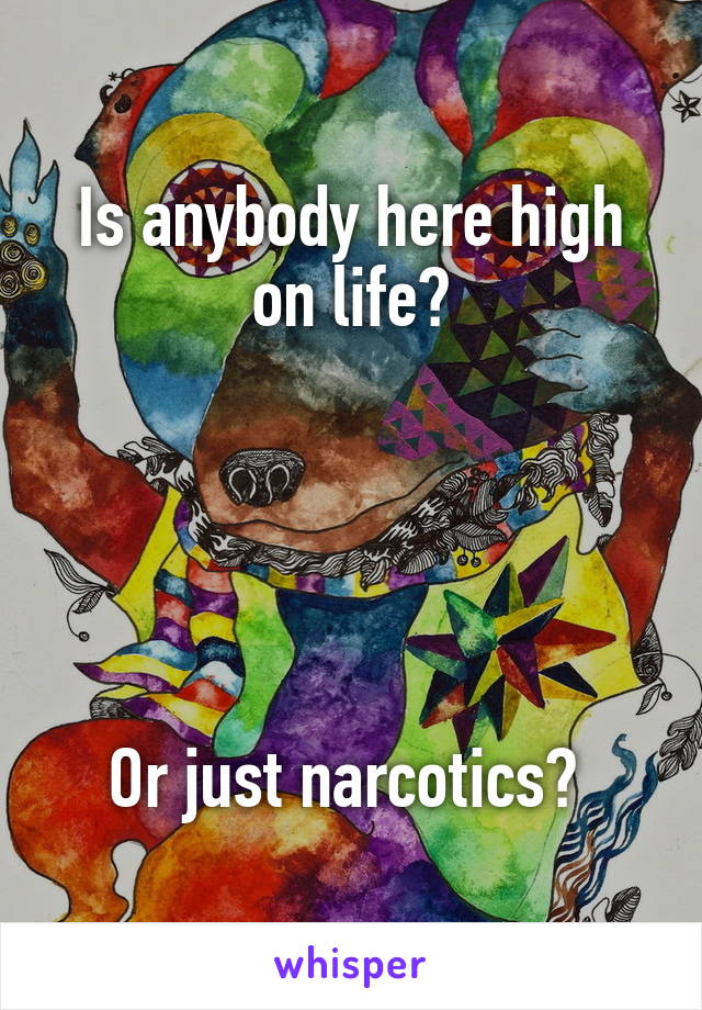 Is anybody here high on life?





Or just narcotics? 