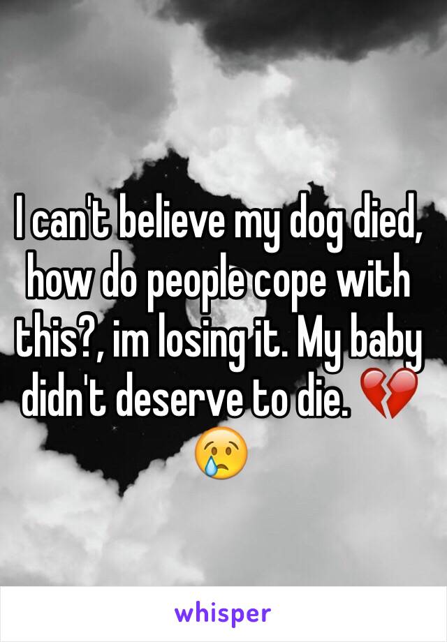 I can't believe my dog died, how do people cope with this?, im losing it. My baby didn't deserve to die. 💔😢