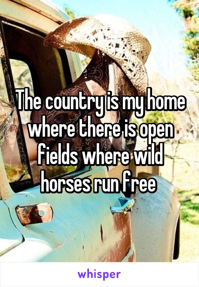 The country is my home where there is open fields where wild horses run free 