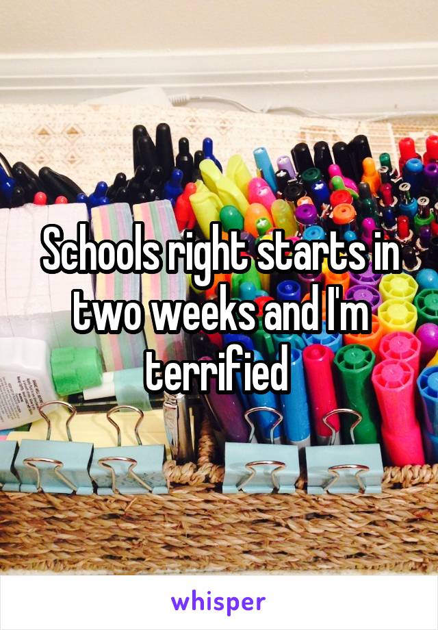 Schools right starts in two weeks and I'm terrified 
