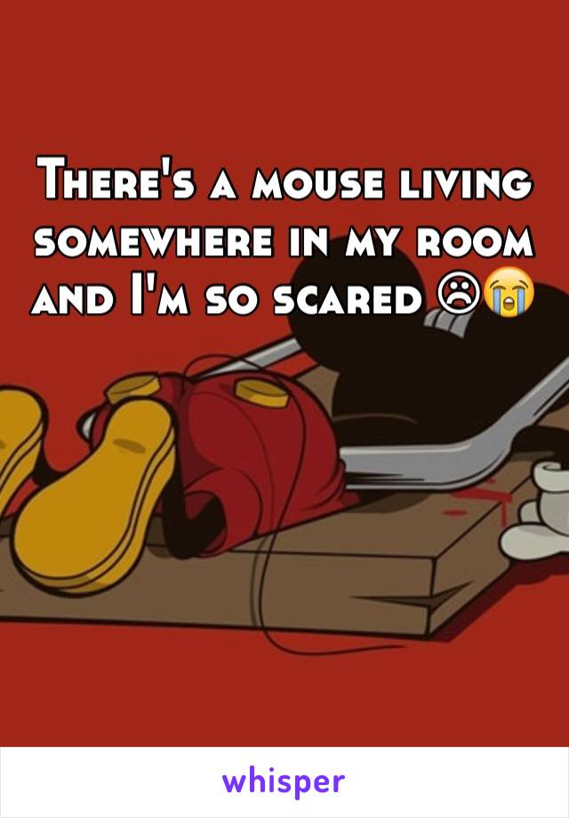 There's a mouse living somewhere in my room and I'm so scared ☹😭
