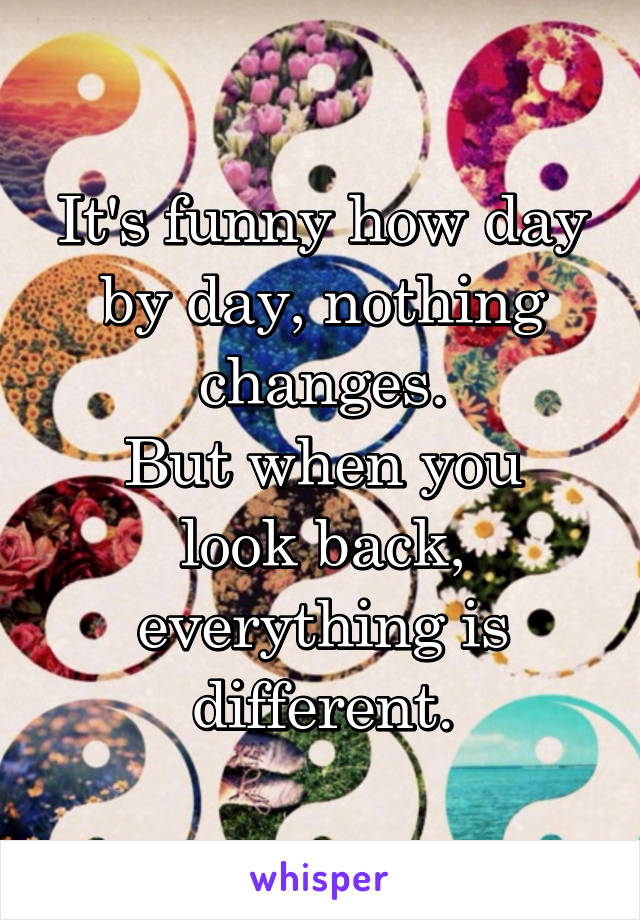 It's funny how day by day, nothing changes.
But when you look back, everything is different.