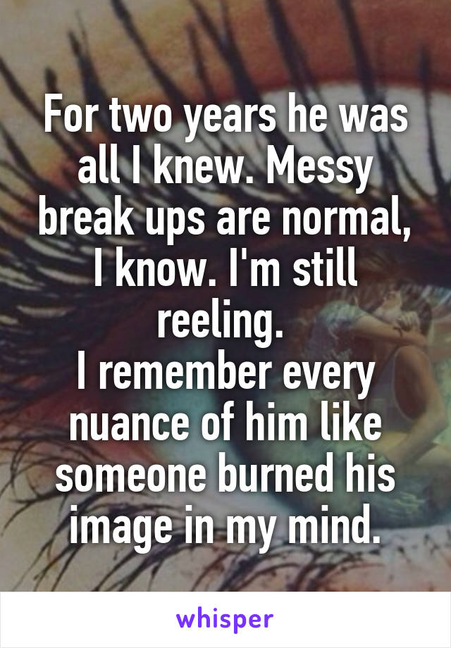 For two years he was all I knew. Messy break ups are normal, I know. I'm still reeling. 
I remember every nuance of him like someone burned his image in my mind.
