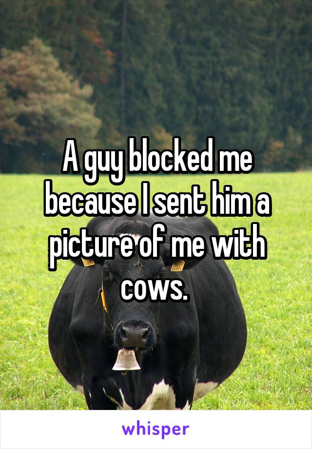 A guy blocked me because I sent him a picture of me with cows. 
