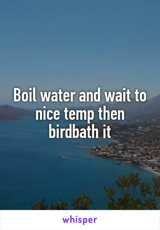 Boil water and wait to nice temp then birdbath it