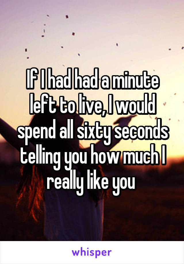 If I had had a minute left to live, I would spend all sixty seconds telling you how much I really like you 
