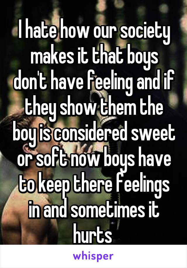 I hate how our society makes it that boys don't have feeling and if they show them the boy is considered sweet or soft now boys have to keep there feelings in and sometimes it hurts 