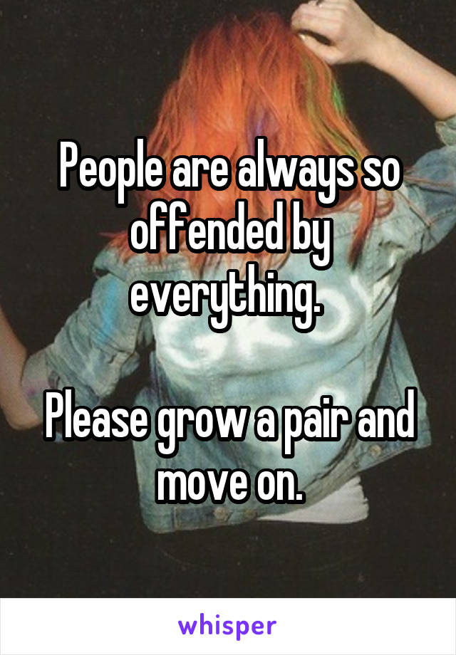 People are always so offended by everything. 

Please grow a pair and move on.