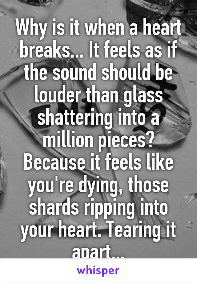 Why is it when a heart breaks... It feels as if the sound should be louder than glass shattering into a million pieces? Because it feels like you're dying, those shards ripping into your heart. Tearing it apart...