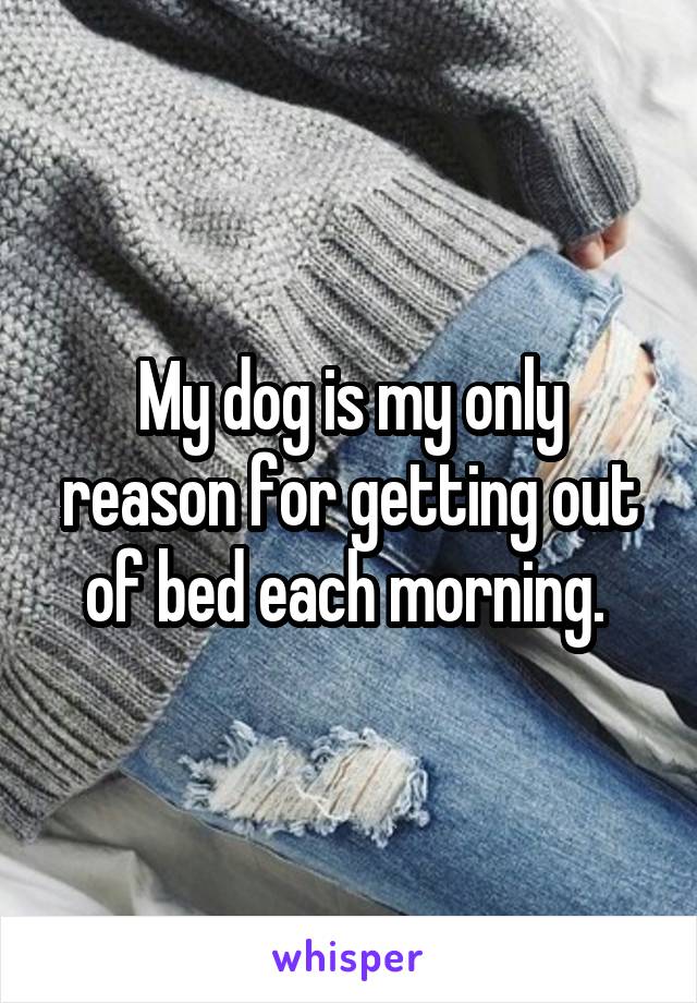 My dog is my only reason for getting out of bed each morning. 