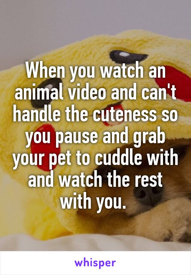 When you watch an animal video and can't handle the cuteness so you pause and grab your pet to cuddle with and watch the rest with you. 
