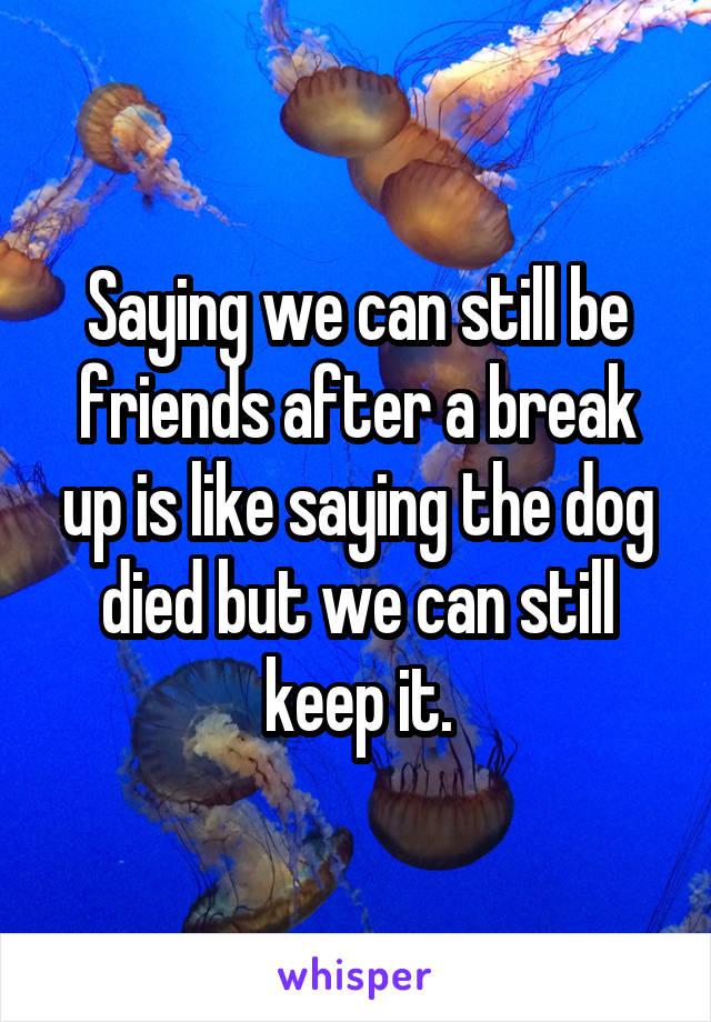 Saying we can still be friends after a break up is like saying the dog died but we can still keep it.