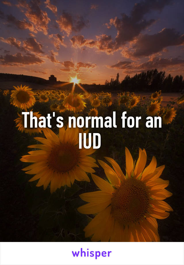 That's normal for an IUD 