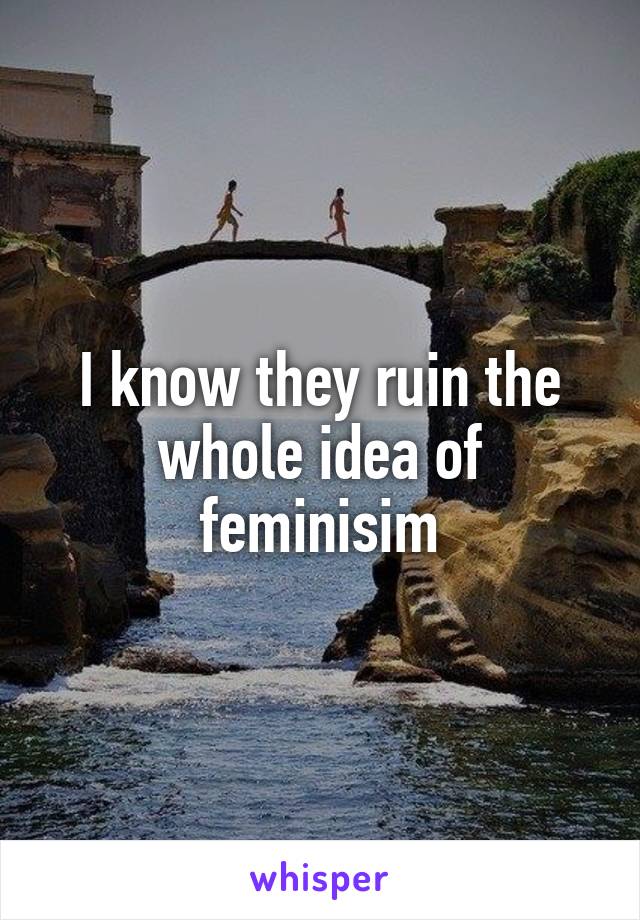 I know they ruin the whole idea of feminisim