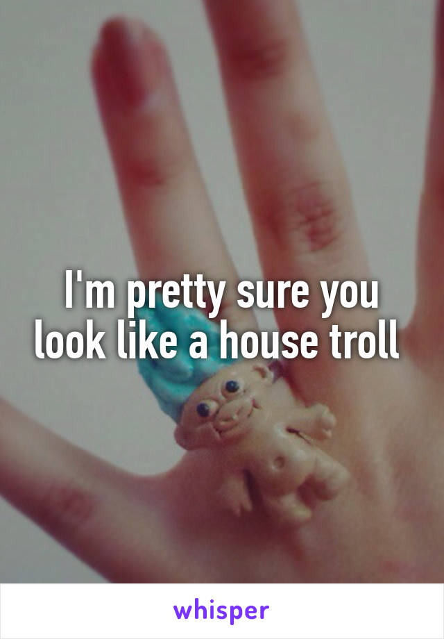I'm pretty sure you look like a house troll 