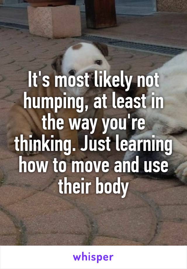 It's most likely not humping, at least in the way you're thinking. Just learning how to move and use their body
