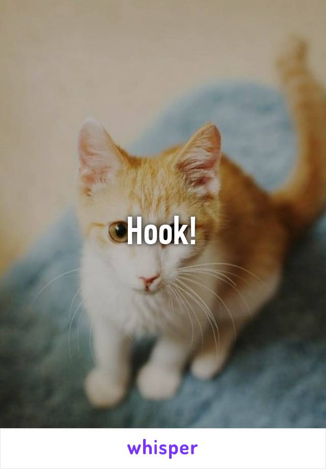 Hook!