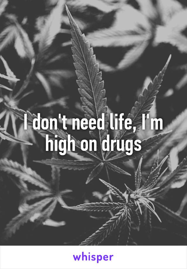 I don't need life, I'm high on drugs