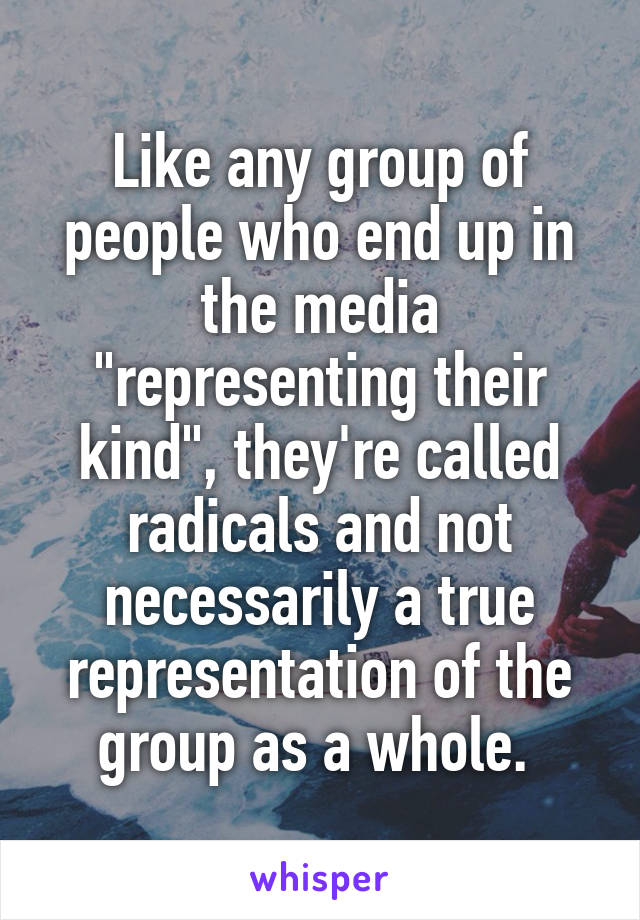 Like any group of people who end up in the media "representing their kind", they're called radicals and not necessarily a true representation of the group as a whole. 