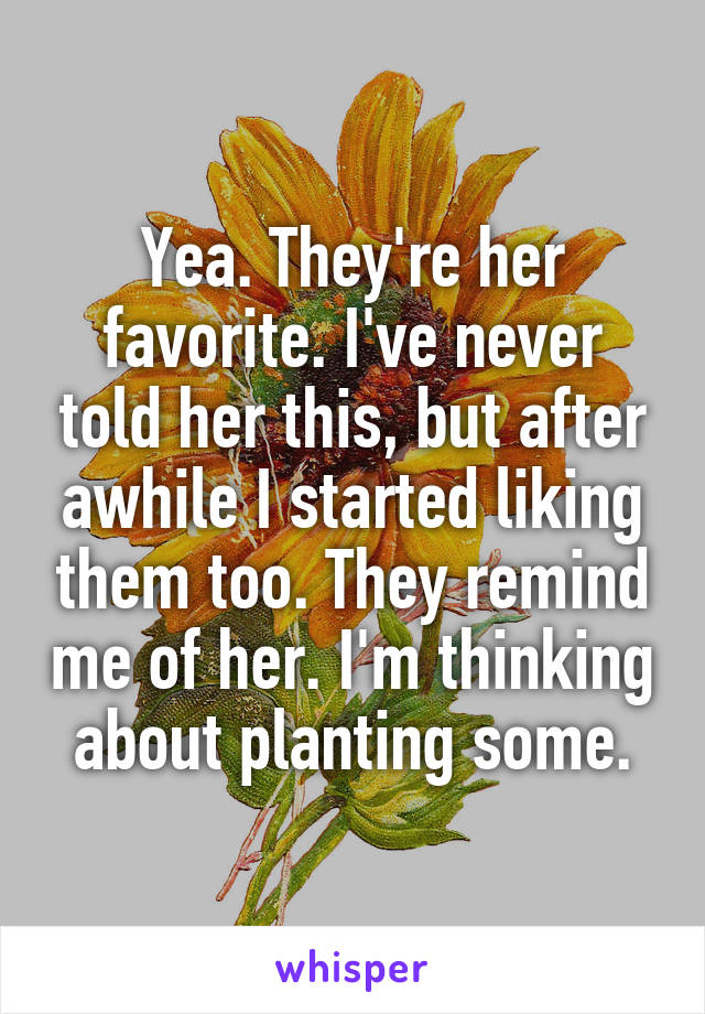 Yea. They're her favorite. I've never told her this, but after awhile I started liking them too. They remind me of her. I'm thinking about planting some.