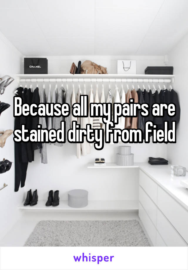 Because all my pairs are stained dirty from field 