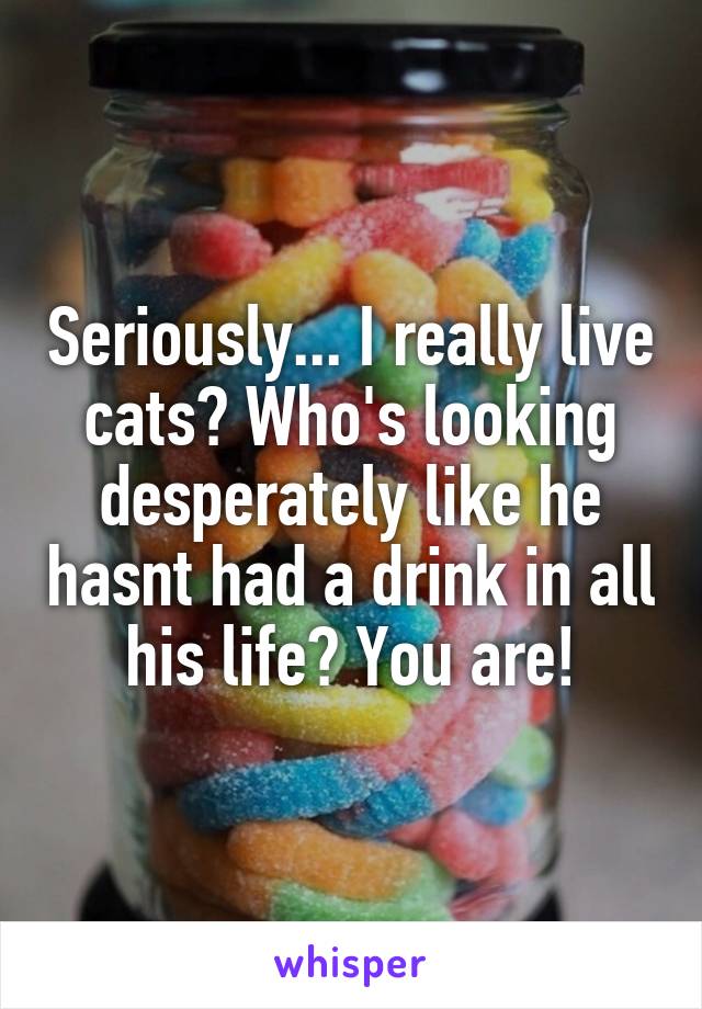 Seriously... I really live cats? Who's looking desperately like he hasnt had a drink in all his life? You are!